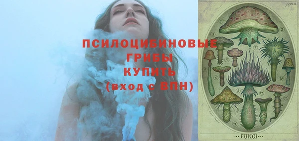 меф Туринск