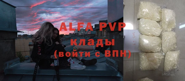 прущие крисы Тында