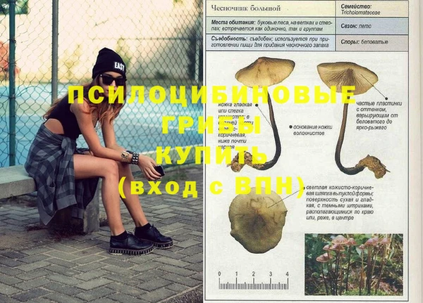 прущие крисы Тында