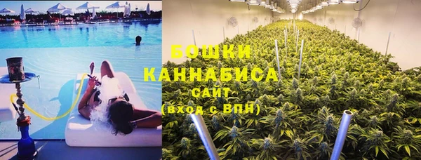 прущие крисы Тында